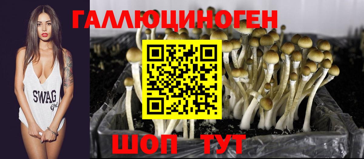 Вышний Волочёк  купить наркоту  Псилоцибиновые грибы Psilocybe  Вход с VPN  Галлюциногенные грибы ЛСД 
